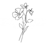 Enchanted Events